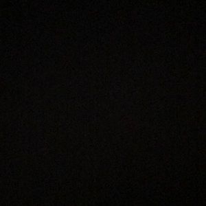 Meet your Posher, Bailey